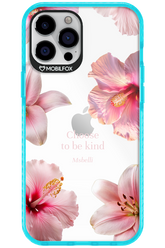 Be Kind - Apple iPhone 12 Pro Max