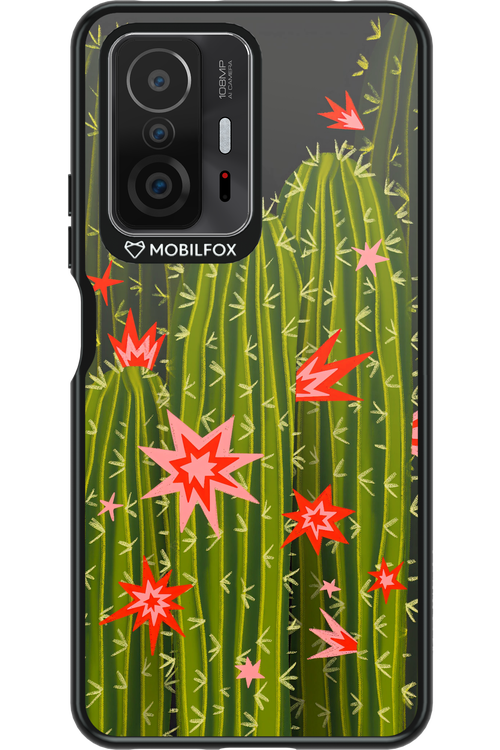 Cactus bloom 2.0 - Xiaomi Mi 11T Pro