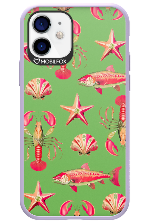 Sea Stars - Apple iPhone 12