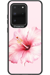 HibiPinky 2.0 - Samsung Galaxy S20 Ultra 5G