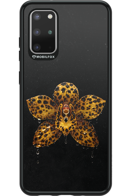 Wet & Wild 2.0 - Samsung Galaxy S20+
