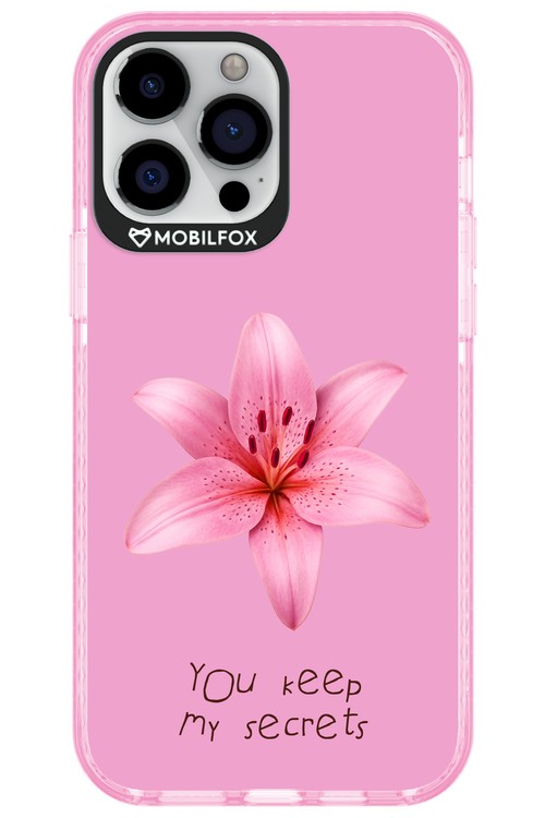 Secrets 2.0 - Apple iPhone 13 Pro Max