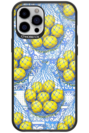 Net Style - Apple iPhone 12 Pro Max