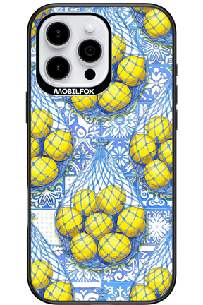 Net Style - Apple iPhone 16 Pro Max