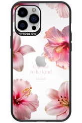 Be Kind - Apple iPhone 12 Pro Max