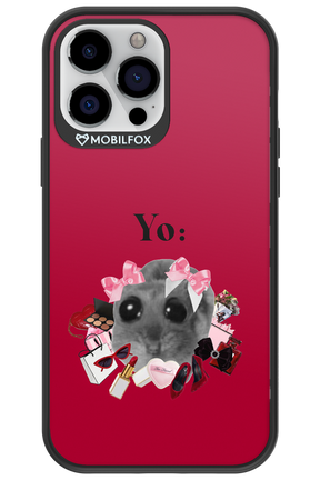 YO - Apple iPhone 13 Pro Max