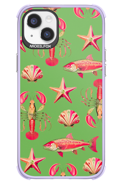 Sea Stars - Apple iPhone 14 Plus