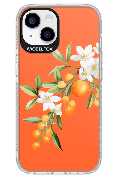 Amalfi Oranges - Apple iPhone 14