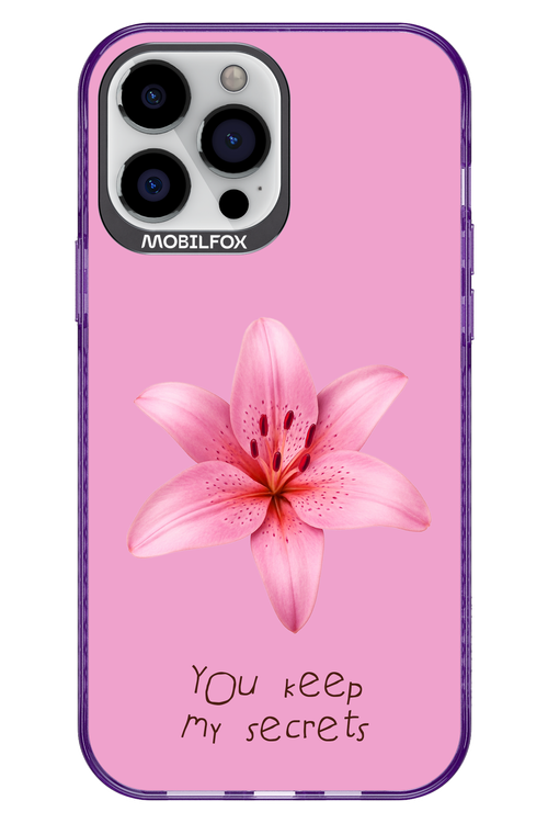 Secrets 2.0 - Apple iPhone 13 Pro Max