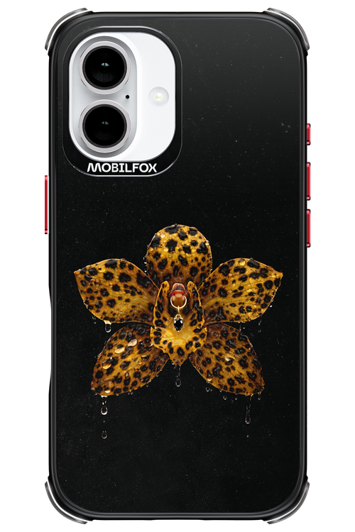 Wet & Wild 2.0 - Apple iPhone 16