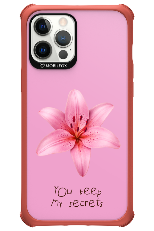 Secrets 2.0 - Apple iPhone 12 Pro Max