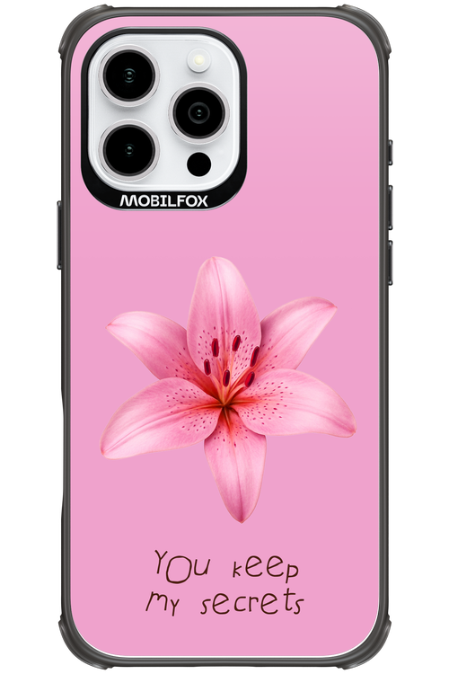 Secrets - Apple iPhone 16 Pro Max