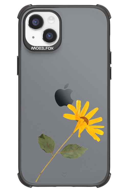 Pressed Flower - Apple iPhone 14 Plus