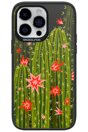 Cactus bloom 2.0 - Apple iPhone 14 Pro Max