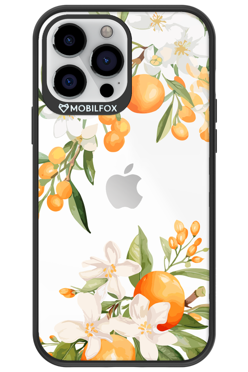 Amalfi Orange 2.0 - Apple iPhone 13 Pro Max