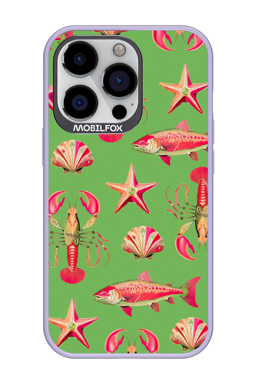Sea Stars - Apple iPhone 13 Pro