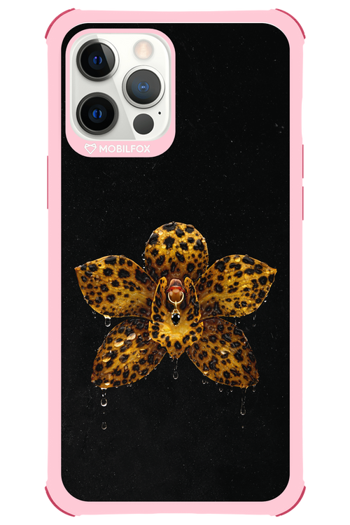 Wet & Wild 2.0 - Apple iPhone 12 Pro Max