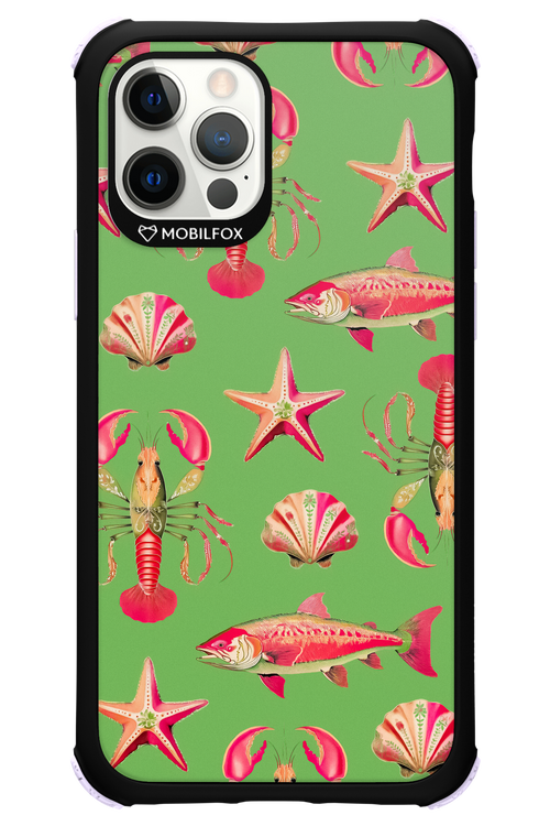 Sea Stars - Apple iPhone 12 Pro