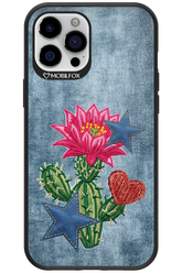 Cowgirl Jeans 2.0 - Apple iPhone 12 Pro Max