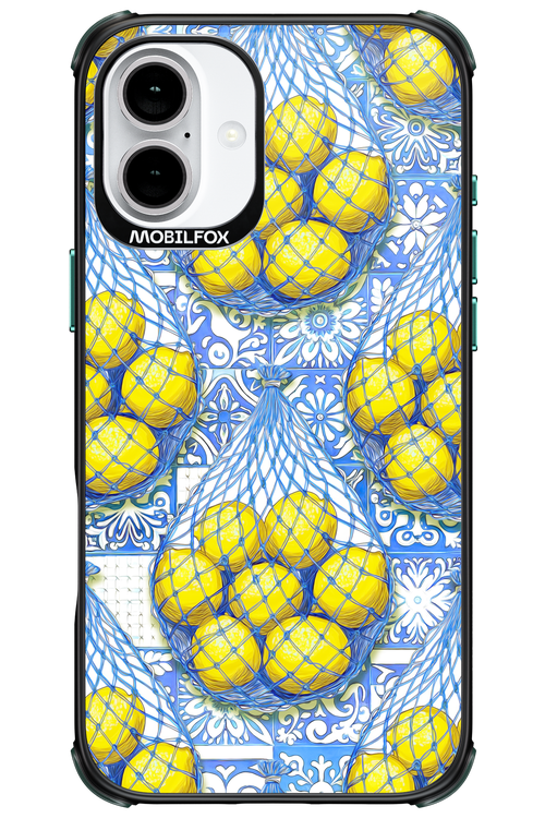 Net Style - Apple iPhone 16 Plus