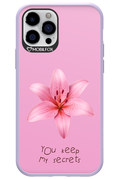 Secrets 2.0 - Apple iPhone 12 Pro