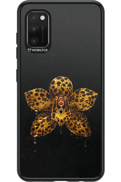 Wet & Wild 2.0 - Samsung Galaxy A41