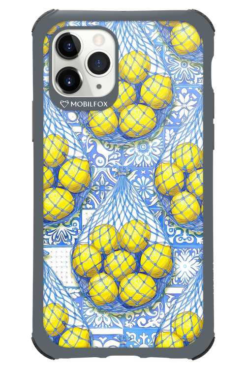 Net Style - Apple iPhone 11 Pro