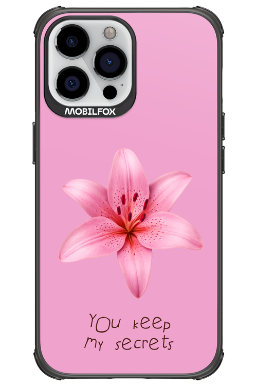 Secrets 2.0 - Apple iPhone 13 Pro Max
