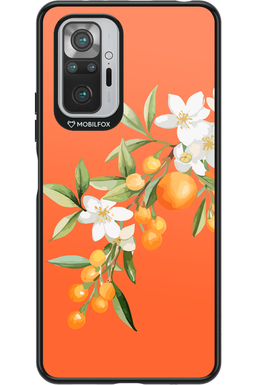 Amalfi Oranges - Xiaomi Redmi Note 10S