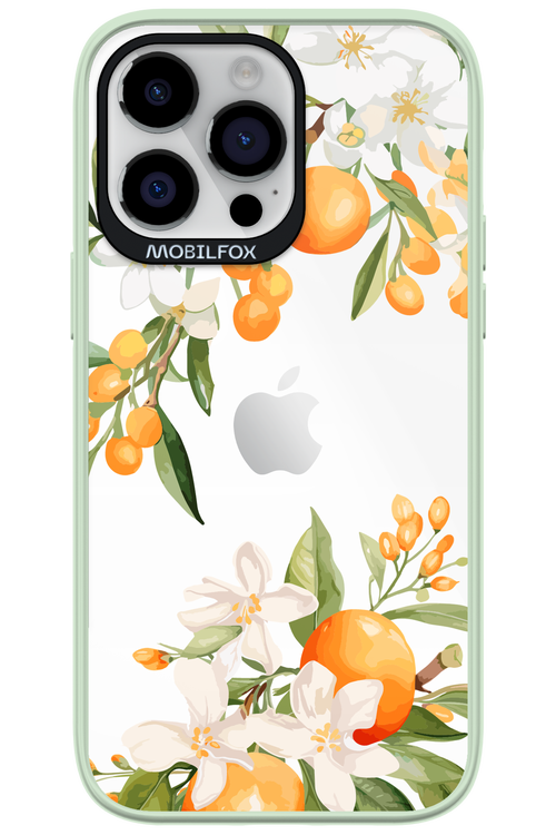 Amalfi Orange - Apple iPhone 14 Pro Max