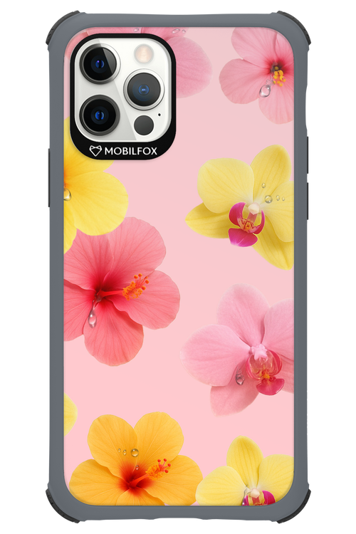 Sunset Flowers - Apple iPhone 12 Pro