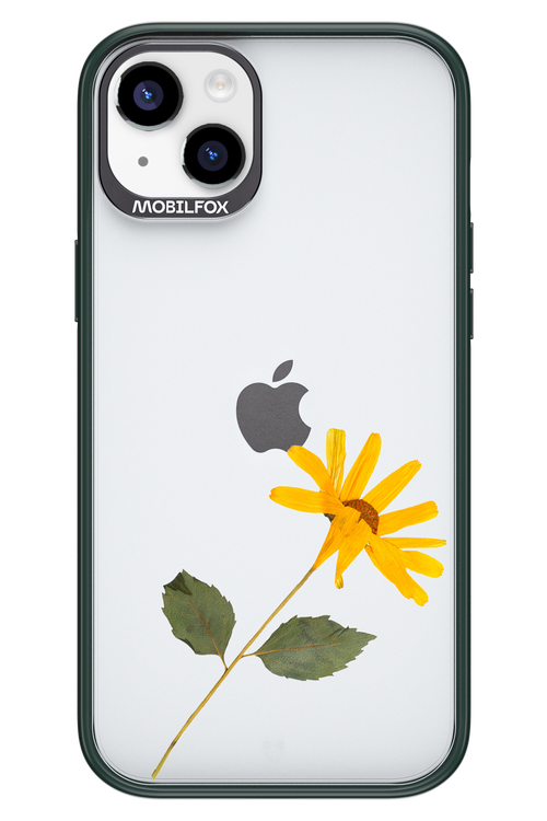 Pressed Flower - Apple iPhone 14 Plus