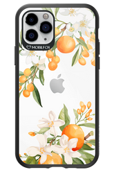 Amalfi Orange 2.0 - Apple iPhone 11 Pro