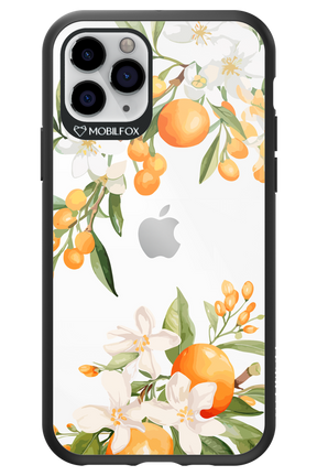Amalfi Orange 2.0 - Apple iPhone 11 Pro