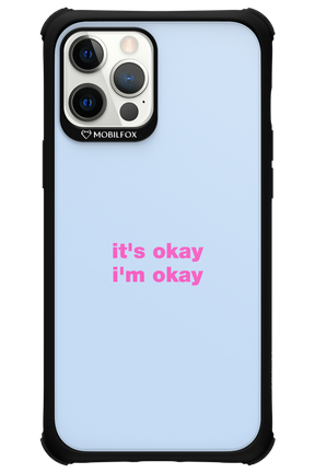 It_s Okay - Apple iPhone 12 Pro Max