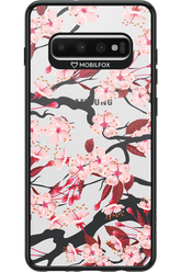 Sakura 2.0 - Samsung Galaxy S10+