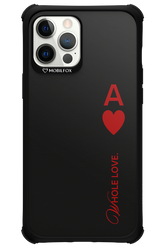 Whole 2.0 - Apple iPhone 12 Pro Max