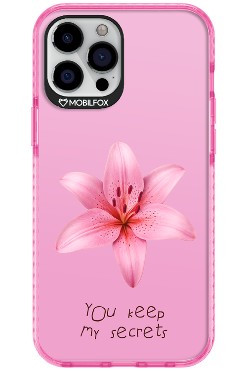 Secrets - Apple iPhone 12 Pro Max