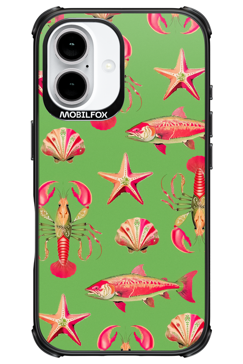 Sea Stars - Apple iPhone 16