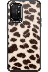 Wild Coat 2.0 - OnePlus 8T