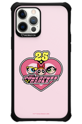 The Powerpuff Girls 25 - Apple iPhone 12 Pro Max