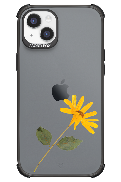 Pressed Flower - Apple iPhone 14 Plus