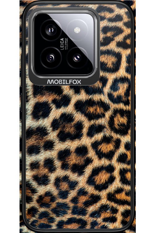 Leopard - Xiaomi 14