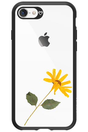 Pressed Flower - Apple iPhone 8