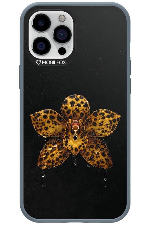 Wet & Wild 2.0 - Apple iPhone 12 Pro Max