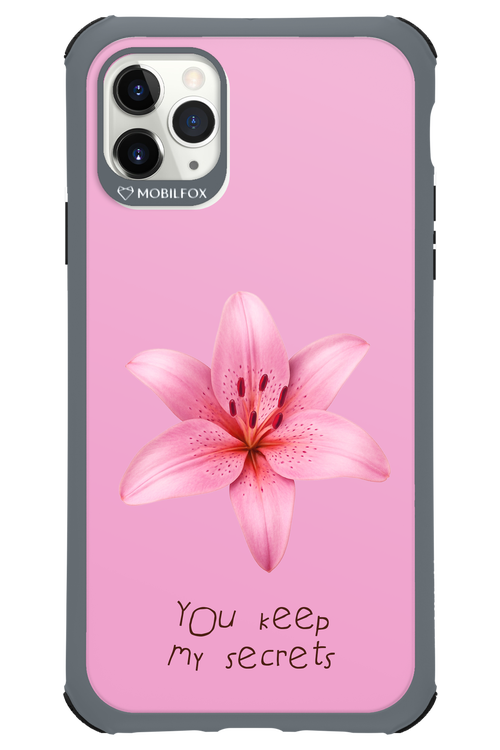 Secrets - Apple iPhone 11 Pro Max