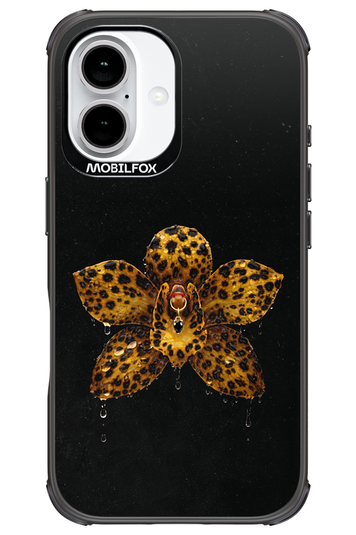 Wet & Wild 2.0 - Apple iPhone 16