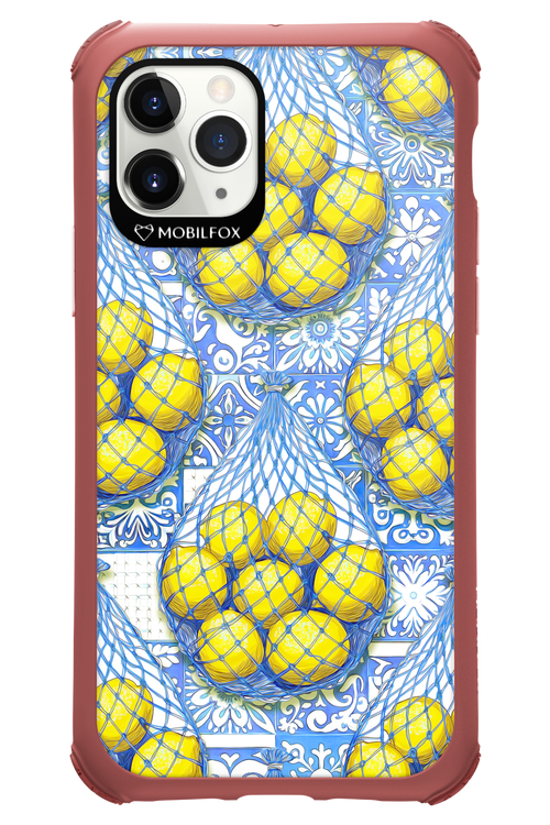 Net Style - Apple iPhone 11 Pro