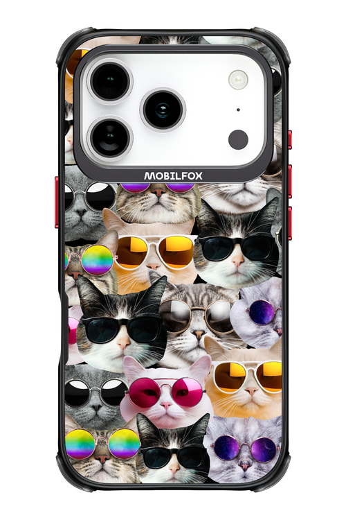 Cat World - Apple iPhone 17 Pro