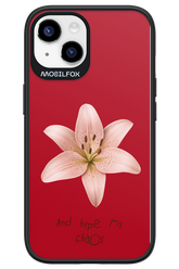 Chaos - Apple iPhone 14